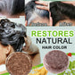 Hair Darkening Shampoo Bar  Natural Organic Conditioner and Repair
