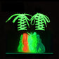 Glow In The Dark Luminous Flat Sneakers Canvas Shoe Laces